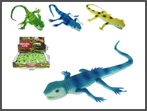 Jaszczurki 34cm z grochem HAB011