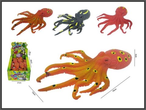Ośmiornica z grochem 18cm HAB022