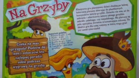 Gra NA GRZYBY