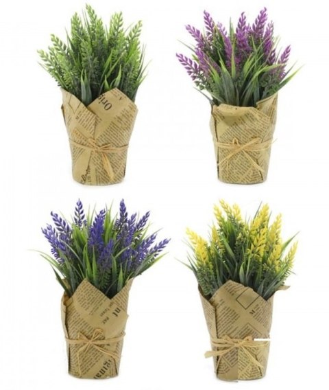 Wrzos w doniczce 0808K