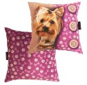Poduszka 35x35 PIES