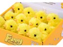 Nakręcany 12szt kurczaczek żółta kurka nakręcana tupta ZA4993
