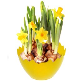 Osłonka wielkanocna skorupka - żółta WN3605ZOL-4671