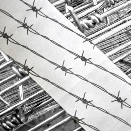 Papier toaletowy Drut Kolczasty - bez pudełka