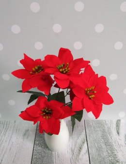 Bukiet 5-kwiatów GWIAZDA BETLEJEMSKA - 10 kpl