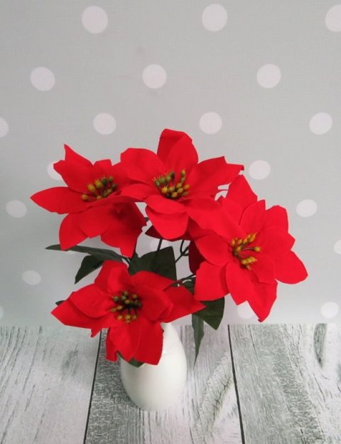 Bukiet 5-kwiatów GWIAZDA BETLEJEMSKA - 10 kpl