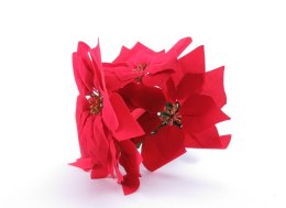 Gwiazda betlejemska czerwona