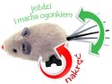 Myszka nakręcana dla dziecka i kotka mysz 12szt. | ZA0838