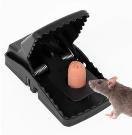 Pułapka sprężynowa na myszy i szczury metalowa 12szt. YWC-167