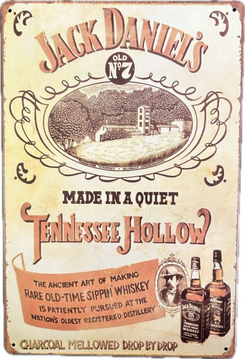 Obraz blaszany 20x30cm 25-628B