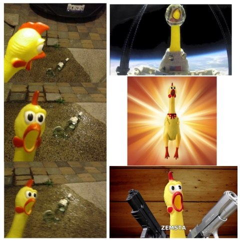 Gumowy kurczak piszcząca zabawka dla psa szczeniaka gryzak XL 37 cm GIGA PID0907